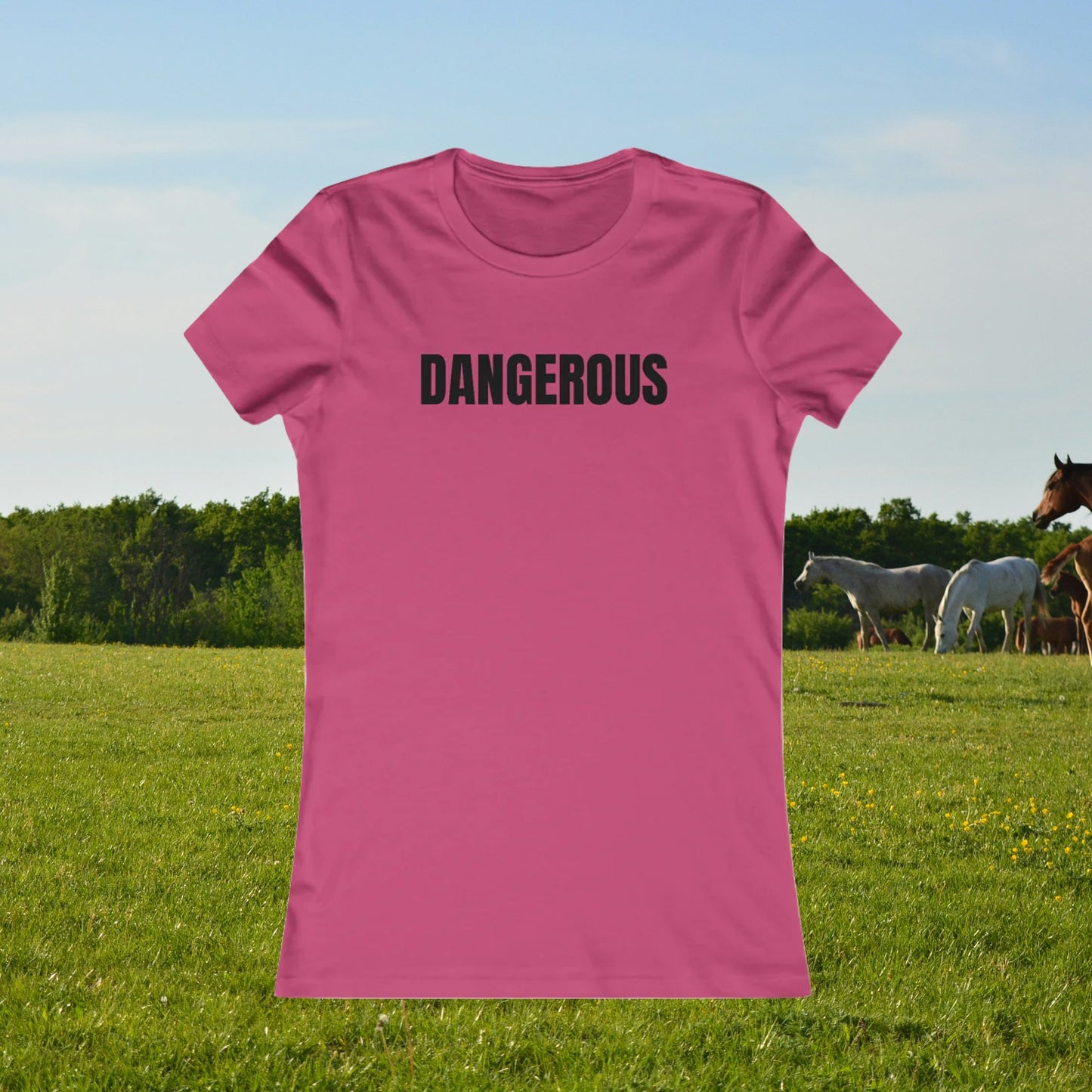 Dangerous - Women's Favorite T-shirt
